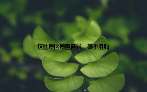 这些景区景色各异, 美不胜收