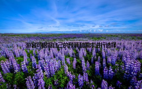 游客可根据自己的预算和需求进行选择