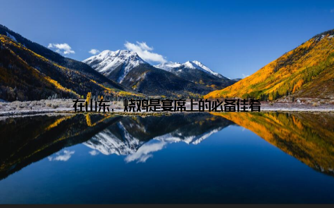 在山东, 烧鸡是宴席上的必备佳肴