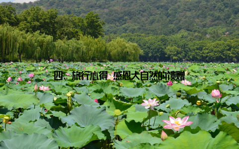 四、旅行心得 感恩大自然的馈赠