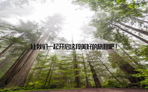 让我们一起开启这段美好的旅程吧!
