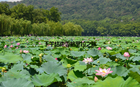 下午结束香格里拉之旅